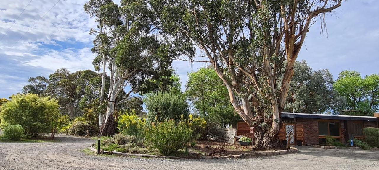 Halls Haven Holiday Units Halls Gap Eksteriør bilde
