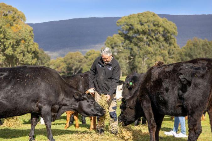 Halls Haven Holiday Units Halls Gap Eksteriør bilde